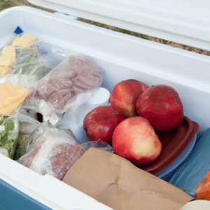 Image of cooler packed with food items for camping.