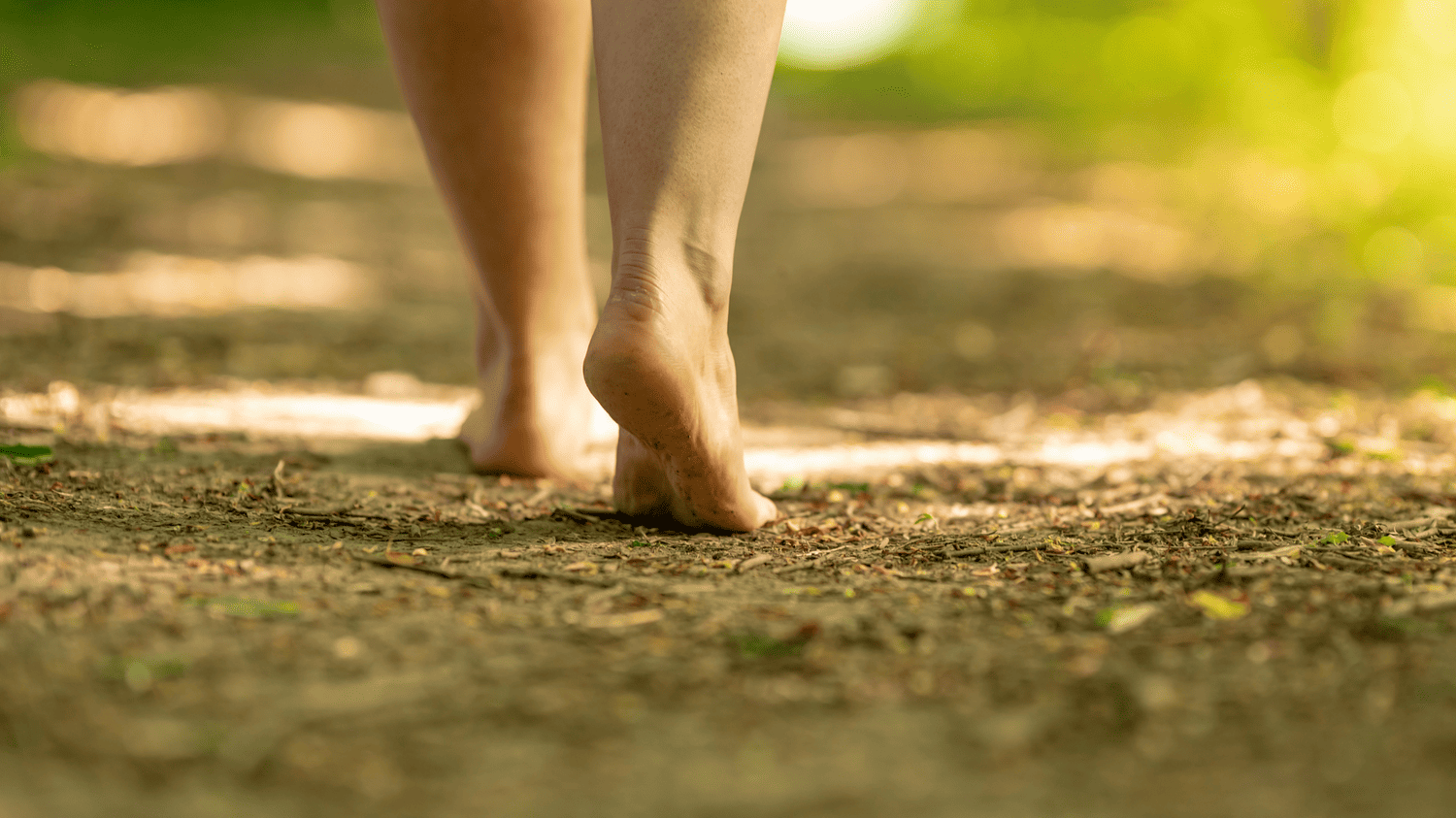 What is Earthing or Grounding?