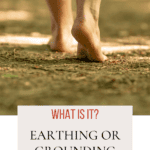 What is Earthing or Grounding?